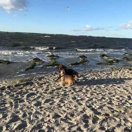 Meeresbrise لابو