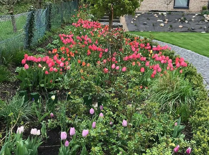 Meeresbrise Lägenhet Laboe